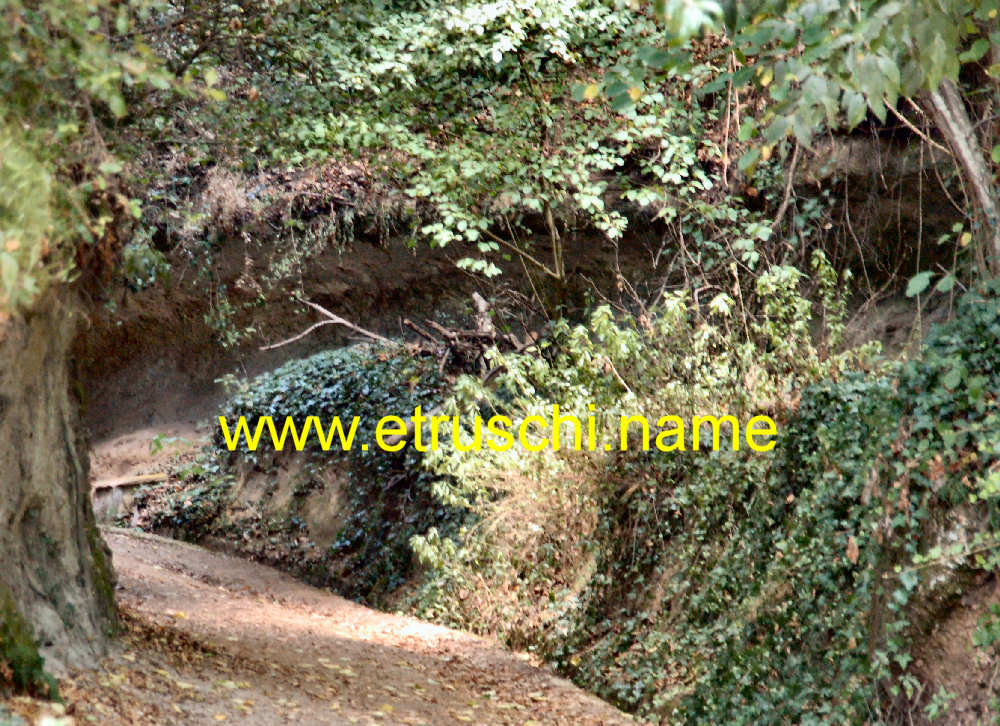 Via Cava di Poggio Prisca 