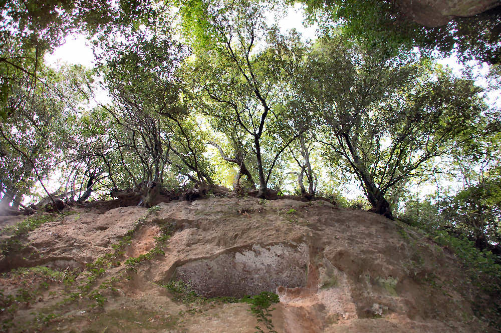 Il Cavone