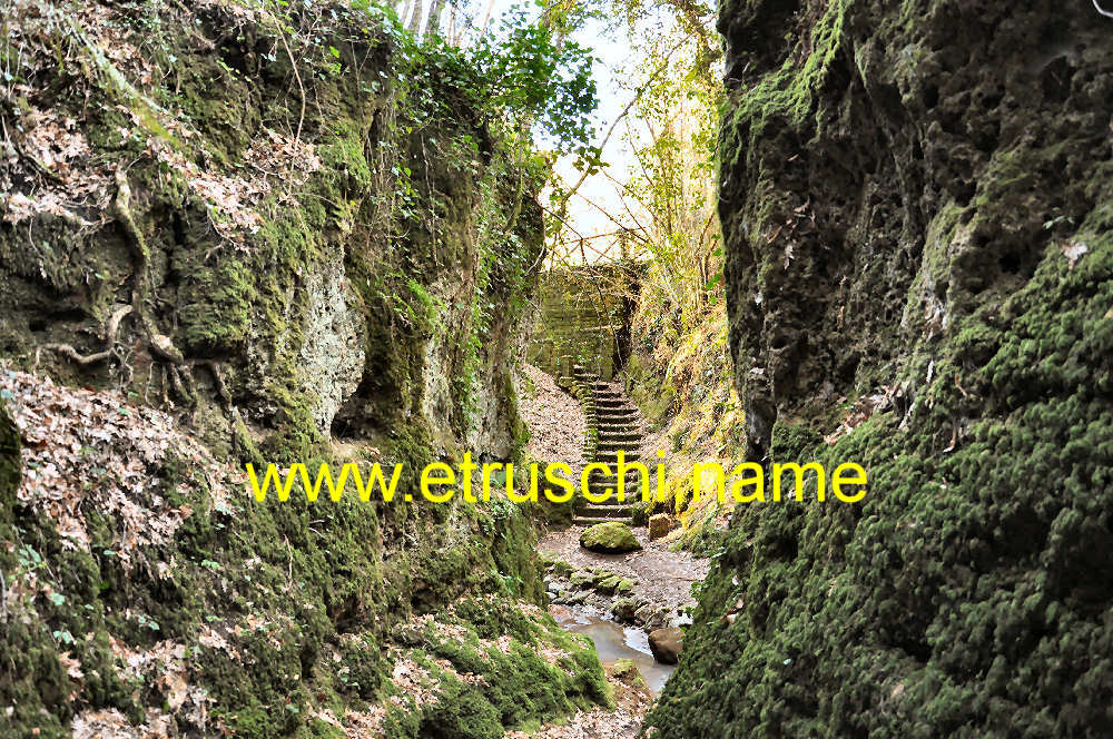 La via cava Folonia