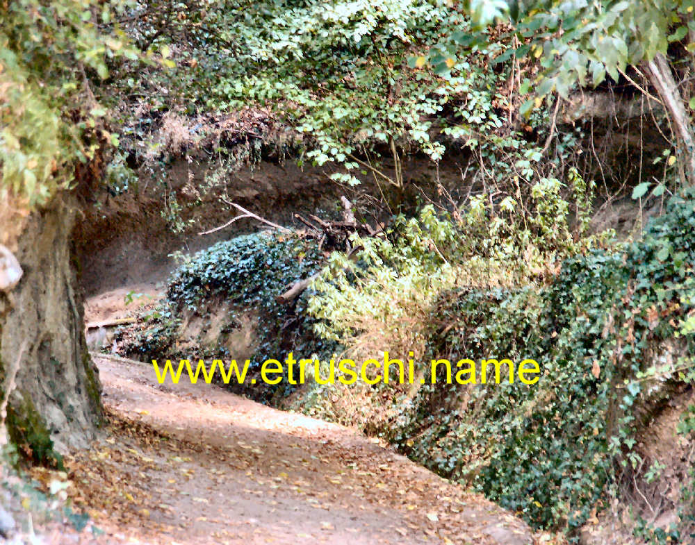La via cava di Poggio Prisca