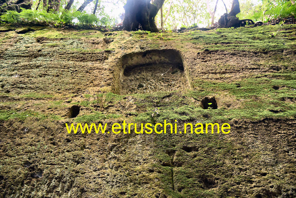 La via cava di Poggio Prisca