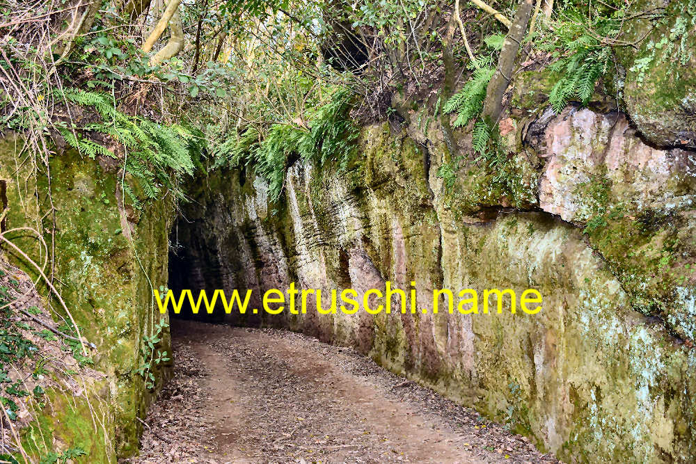 La via cava di Poggio Prisca