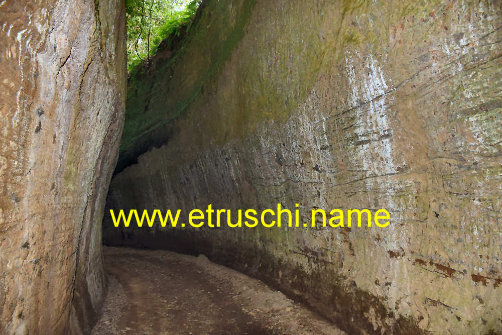 La via cava di Poggio Prisca