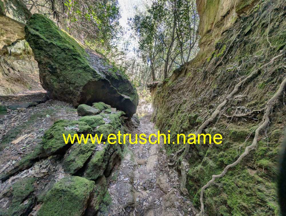 Via Cava San Rocco a Sorano