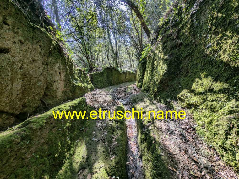 Via Cava San Rocco a Sorano