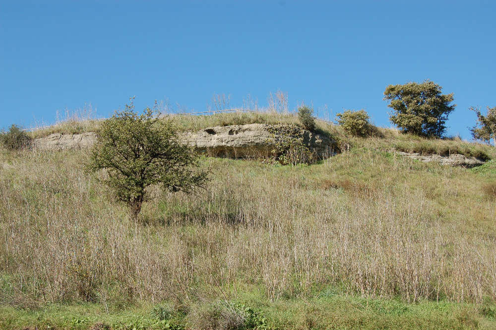 Vulci panorama