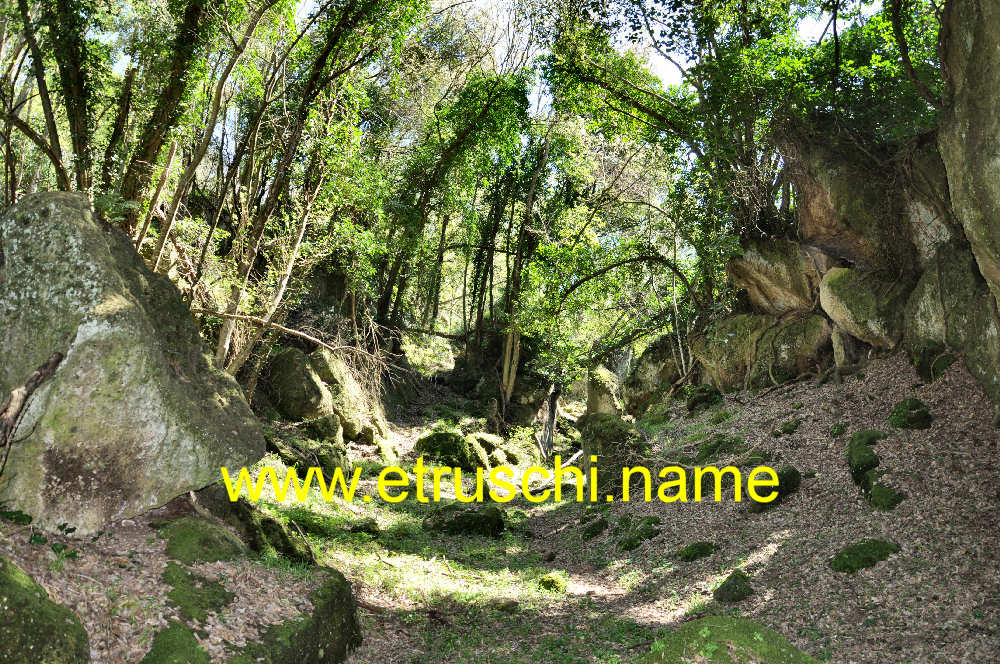 il sentiero nel bosco