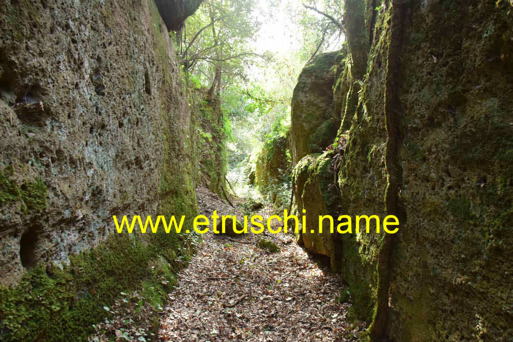 Via cava Duvenbeck