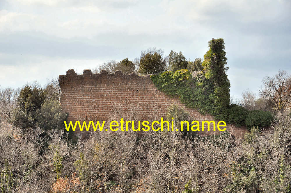 Il Castello dei Di Vico
