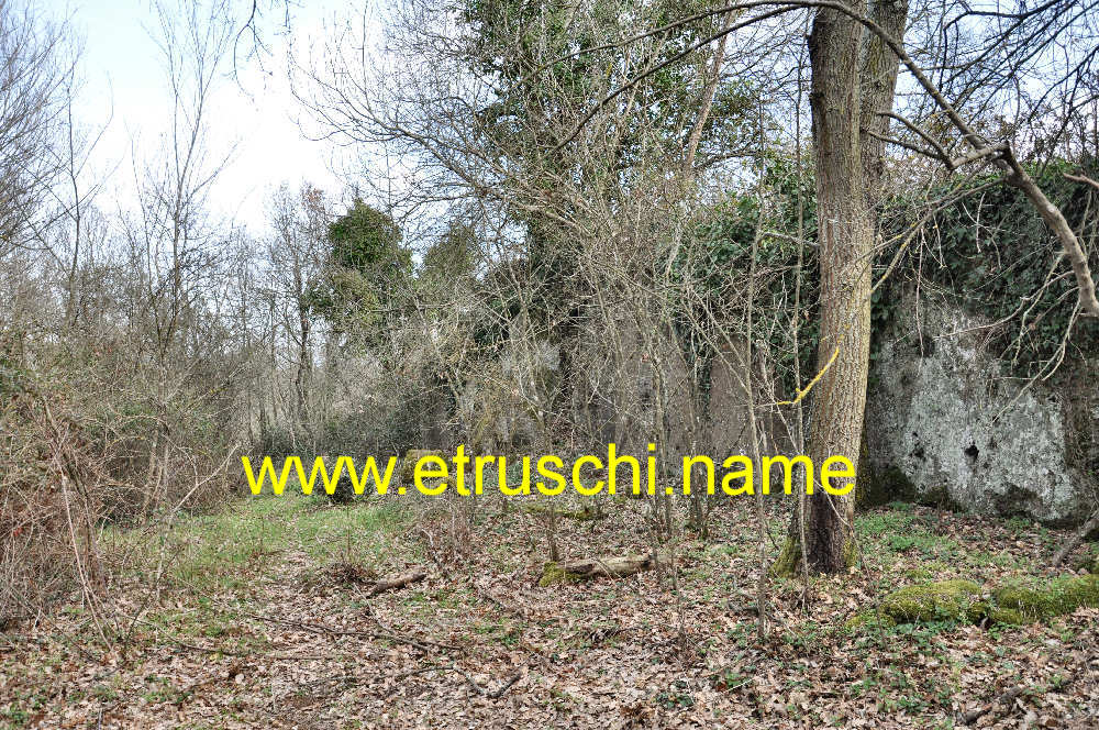 Ingresso SUD e muro del fossato Etrusco