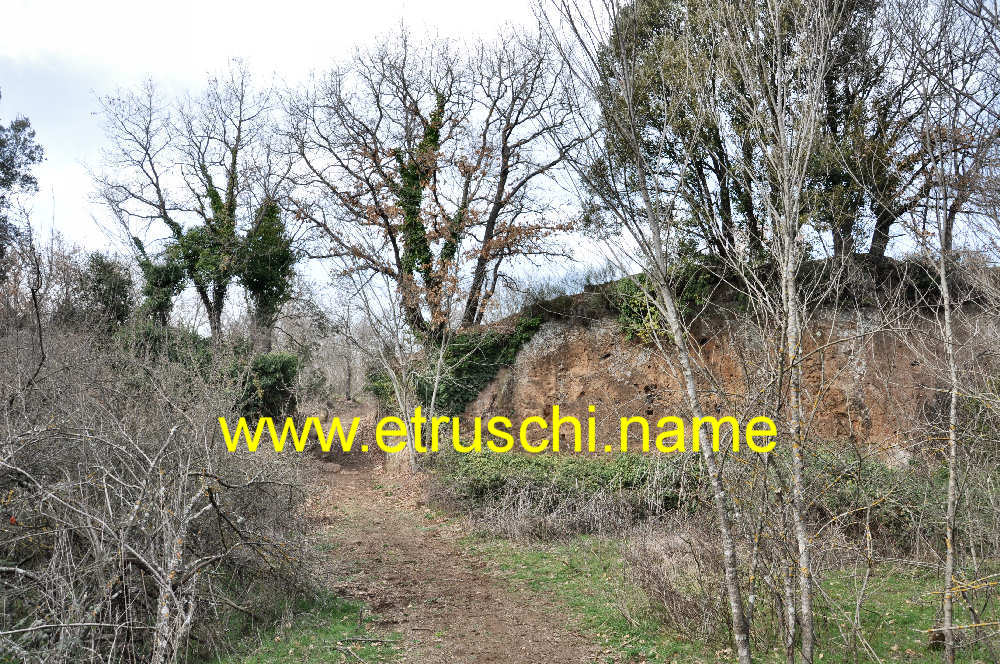 Ingresso SUD e muro del fossato Etrusco