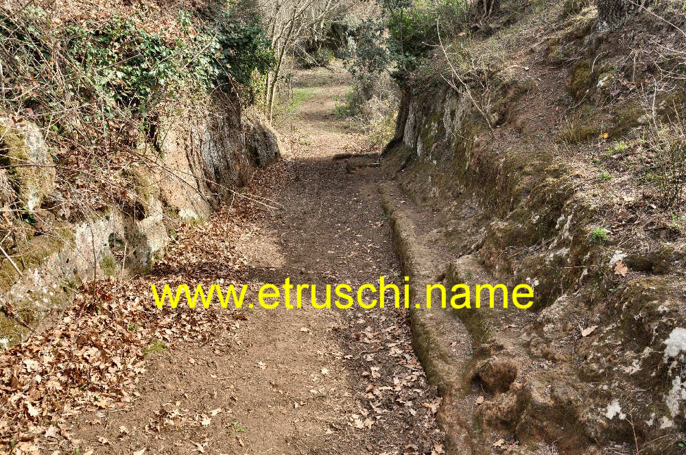 Ingresso Sud