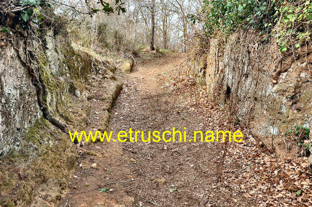 Ingresso Sud