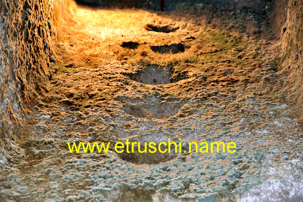 Pozzi Etruschi