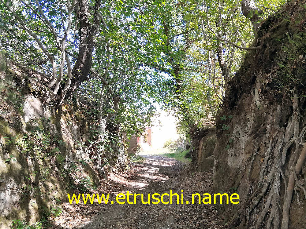 La via cava che conduce a Poggio Buco
