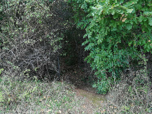 l'ingresso al sito di Poggio Rota