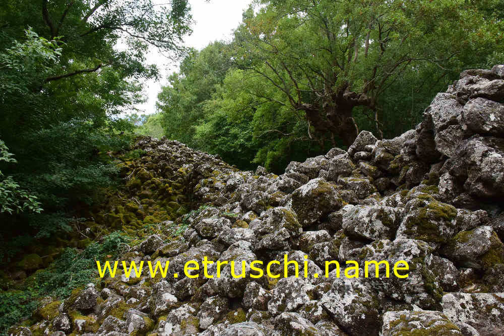 La fortezza etrusca di Rofalco