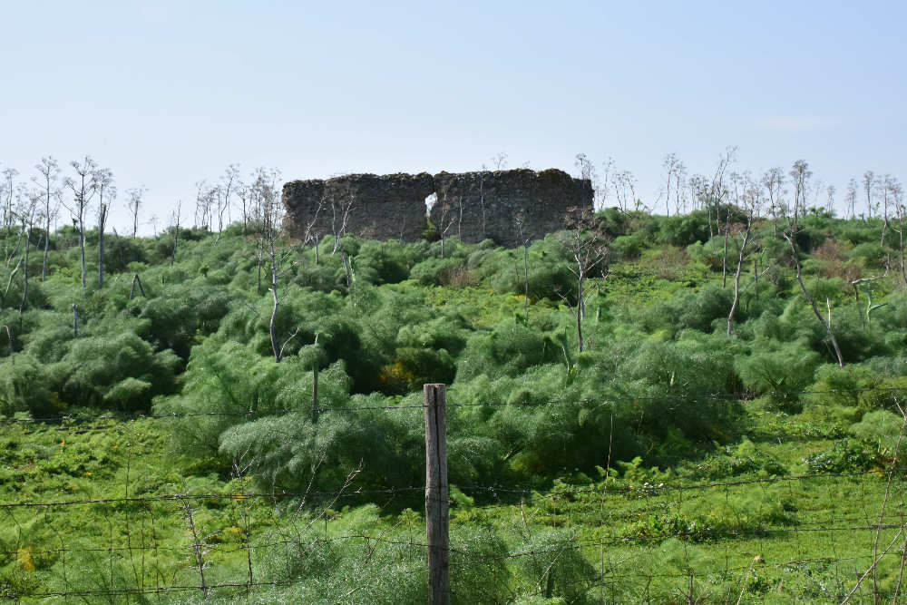 Cisterna Romana