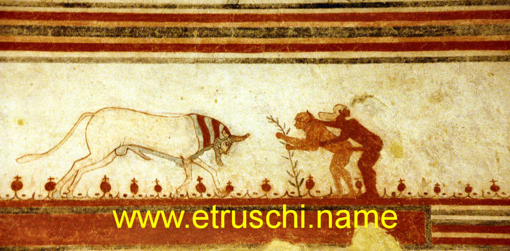Tomba dei Tori