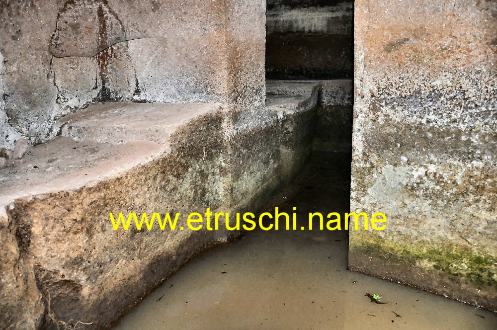 Tomba 3 - interno