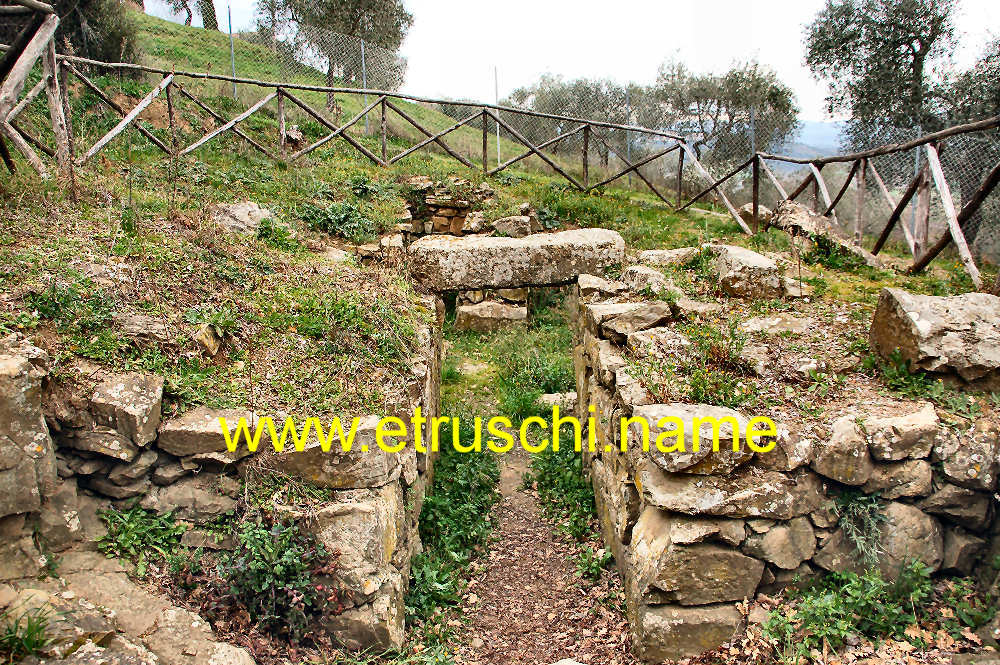 la Tomba del Belvedere