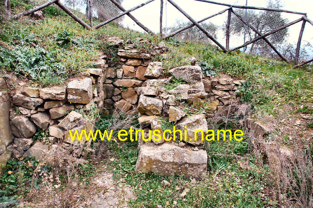 la Tomba del Belvedere