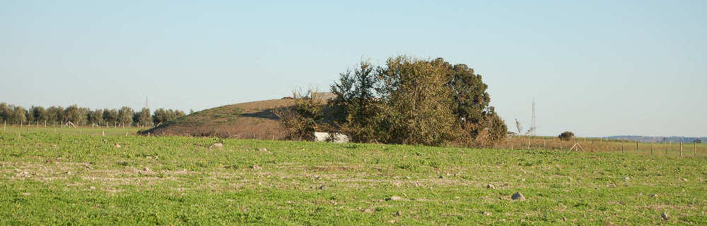 Cuccumella
