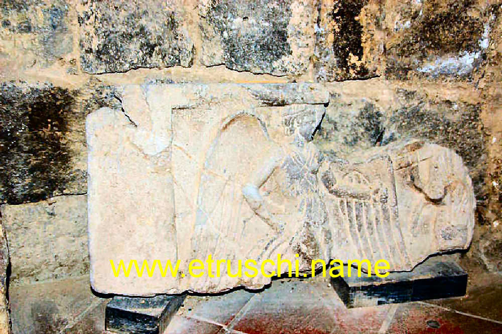Museo Etrusco