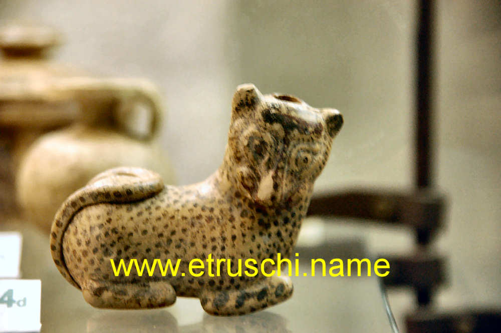 Museo Etrusco